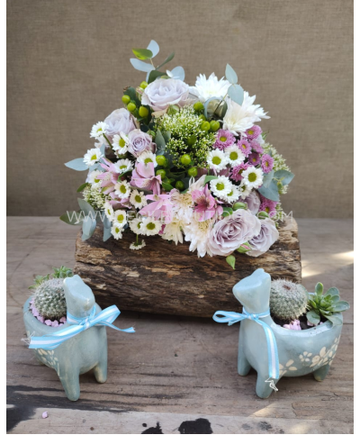 Aires de victoria | Bouquet plus gift set